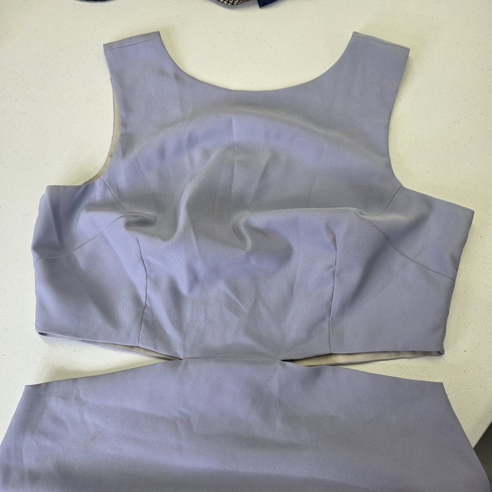 Arti Gogna cut out Bodycon mid length dress - Picture 5 of 12